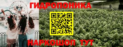 бошки Ярославль