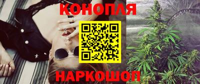 стаф Шебекино