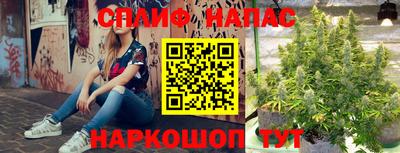 бошки Ярославль