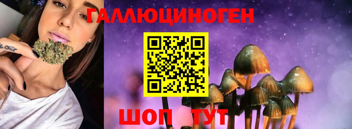 Галлюциногенные грибы мухоморы  Вход с VPN  Ачхой-Мартан 