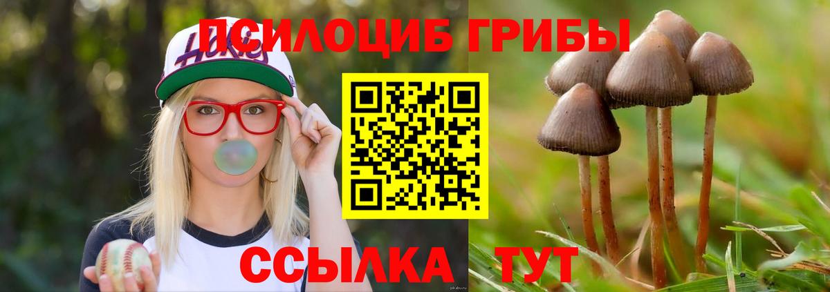 Галлюциногенные грибы Cubensis Ачхой-Мартан